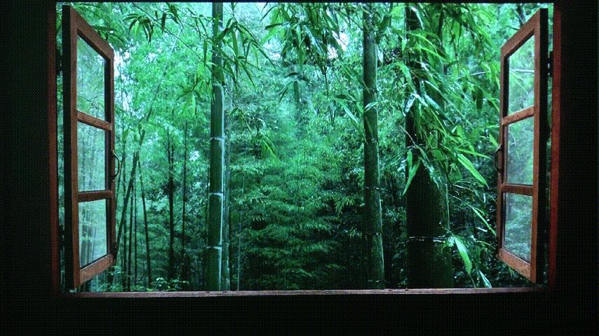 极米吸顶灯投影仪真实测评,极米投影仪神灯评测