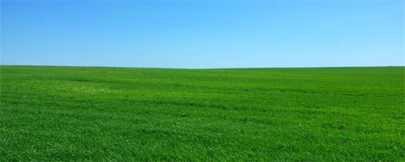 鐧藉眳鏄撳啓璇楃殑鍔卞織鏁呬簨,涓浗鍙や唬鏂囧瀹舵晠浜嬬櫧灞呮槗