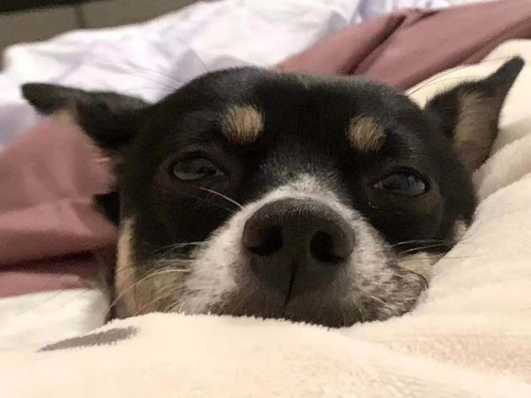 2022年这些瞬间温暖了我们,2022年的一切回顾