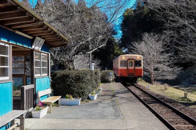 从北到南9集,从北到南看日本第一期