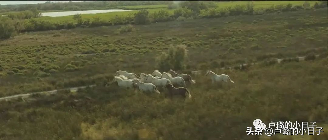 7部让你想走就走的旅行电影,吐血推荐8部关于旅行的电影