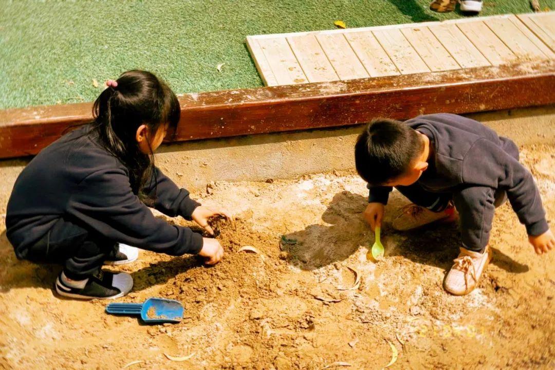 学费一月10万以内的幼儿园,鲸湾幼儿园怎么样