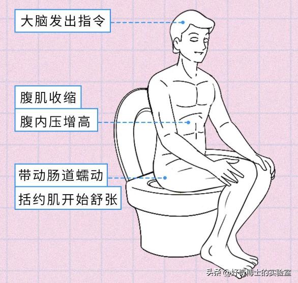 排便过于用力会导致出血吗,排便时太过用力导致疼痛