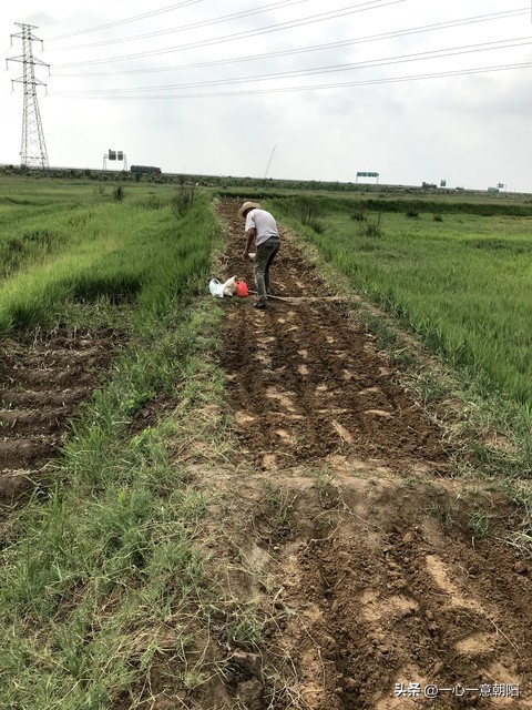 爷爷回到了原来的地方,爷爷要去一个遥远的地方