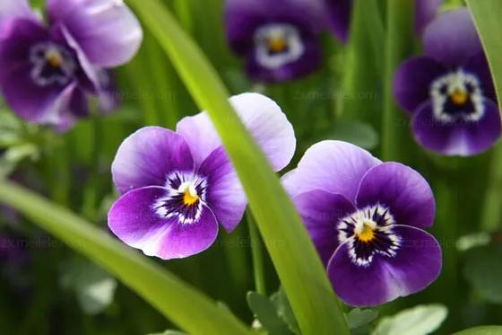 在生活中迷茫的时候怎么调节心情,难过时如何快速调整自己的心态