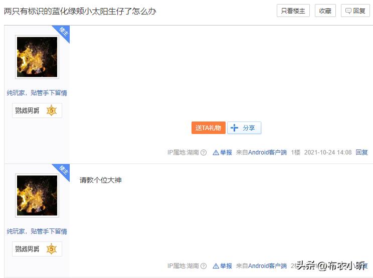 哪些鹦鹉带合法标识,买鹦鹉会被判刑吗