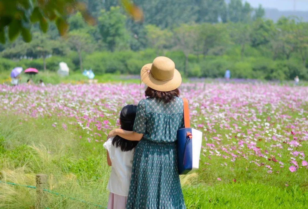 郑州经开区赏花胜地,三月郑州附近有什么赏花的