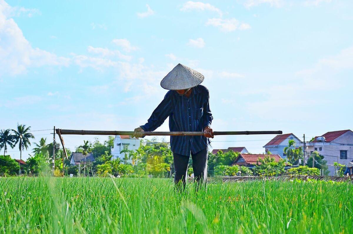 2023养老金调整通知发布了吗,养老金上调最新消息天津市