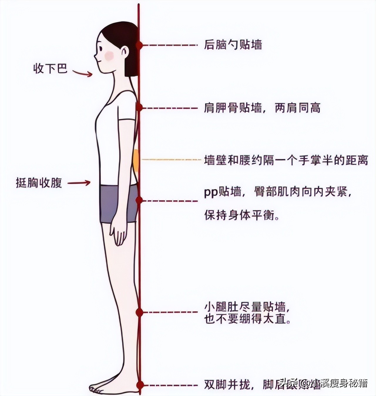 如何将腰腹脂肪变肌肉,燃烧脂肪练成小蛮腰