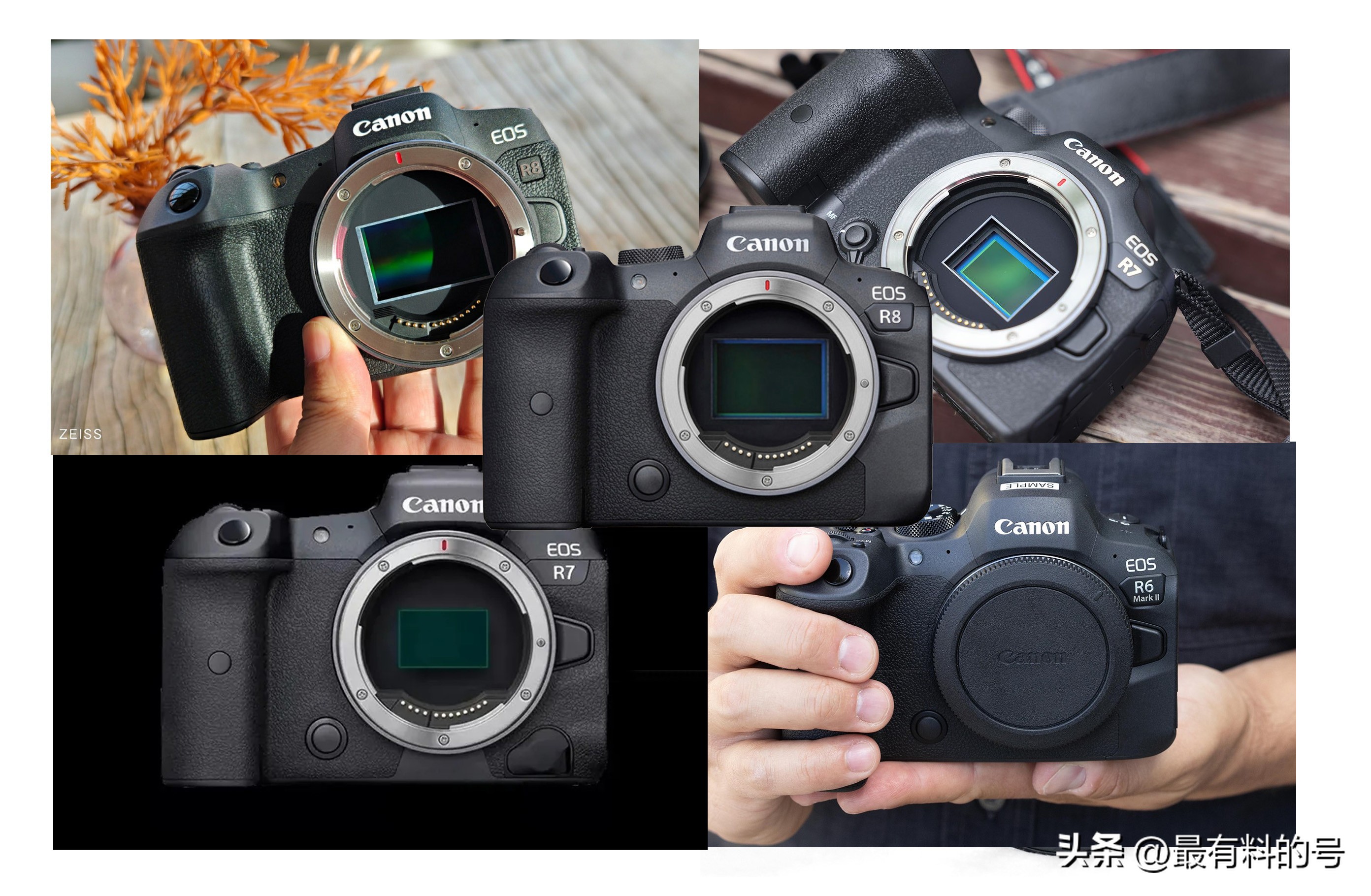 目前在售万元价位微单机型横向对比：哪一款值得入手（下）？