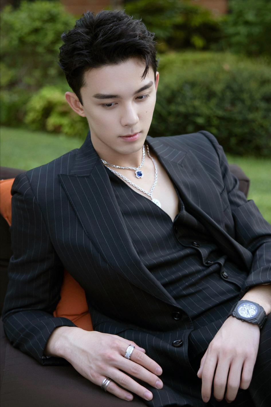 四川最帅十大男明星,十大越老越帅的男明星