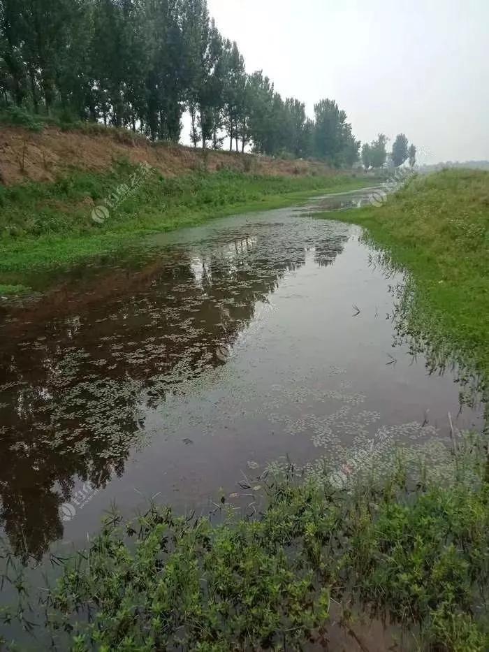 冬天野外垂钓鲫鱼,垂钓小鲫鱼调漂