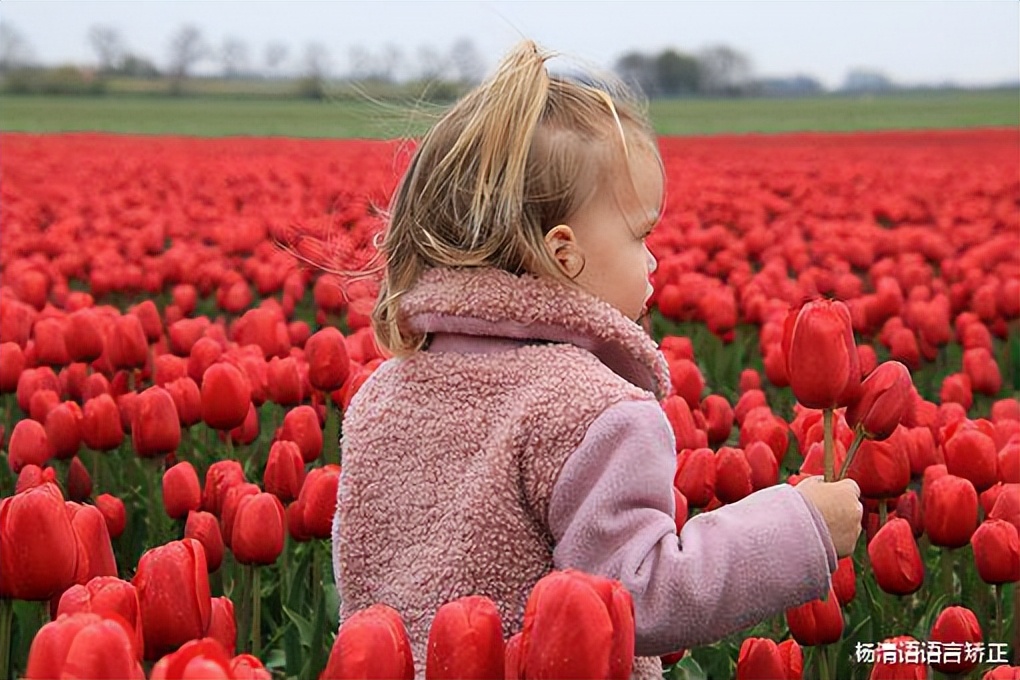 儿童咬字不清楚矫正怎么收费,5岁小孩说话咬字不清晰怎么矫正