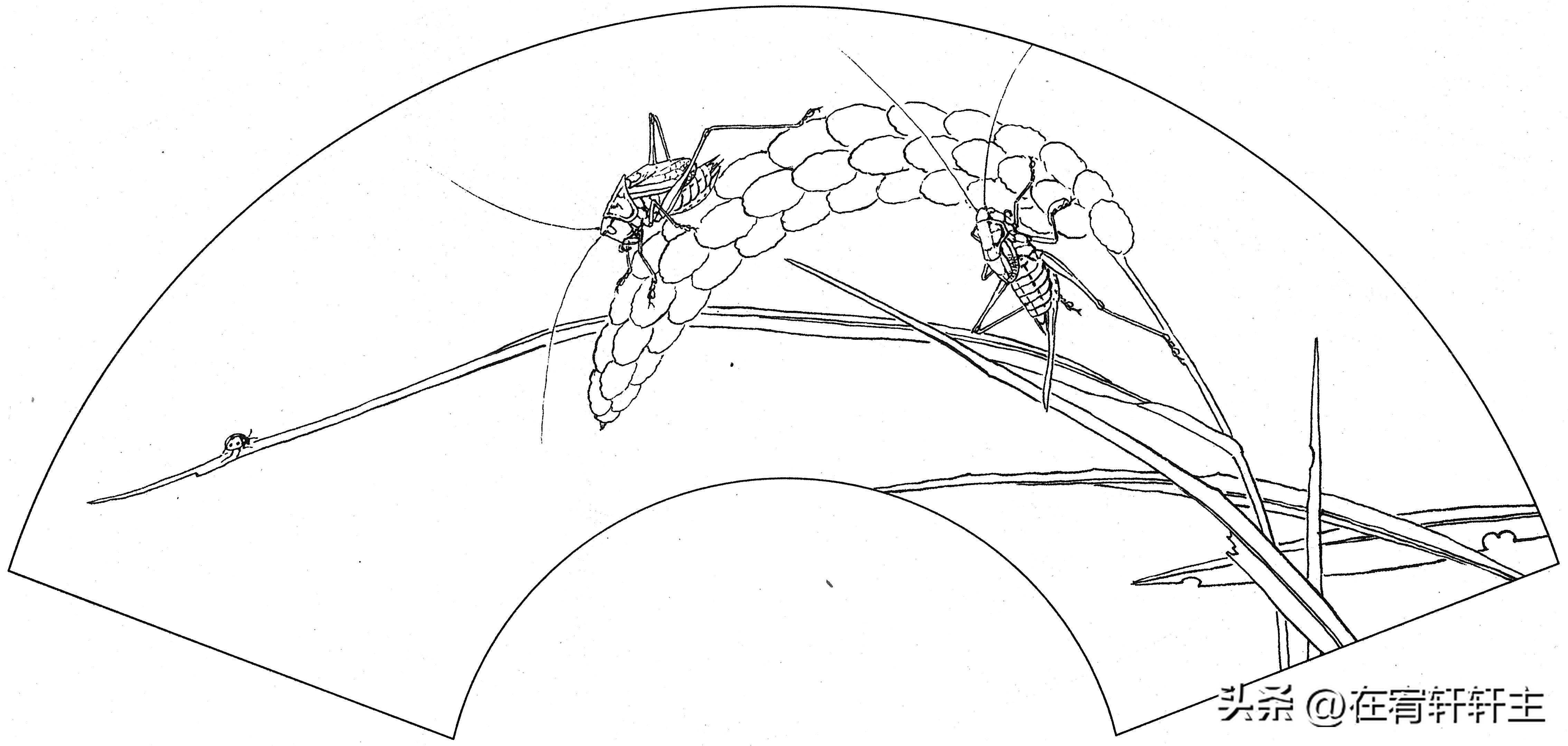 工笔白描祥云图案扇面,工笔扇面葡萄白描图片