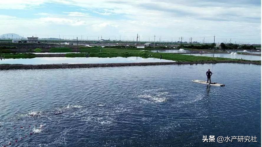 工厂化养殖硬度碱度问题,养殖碱度和硬度