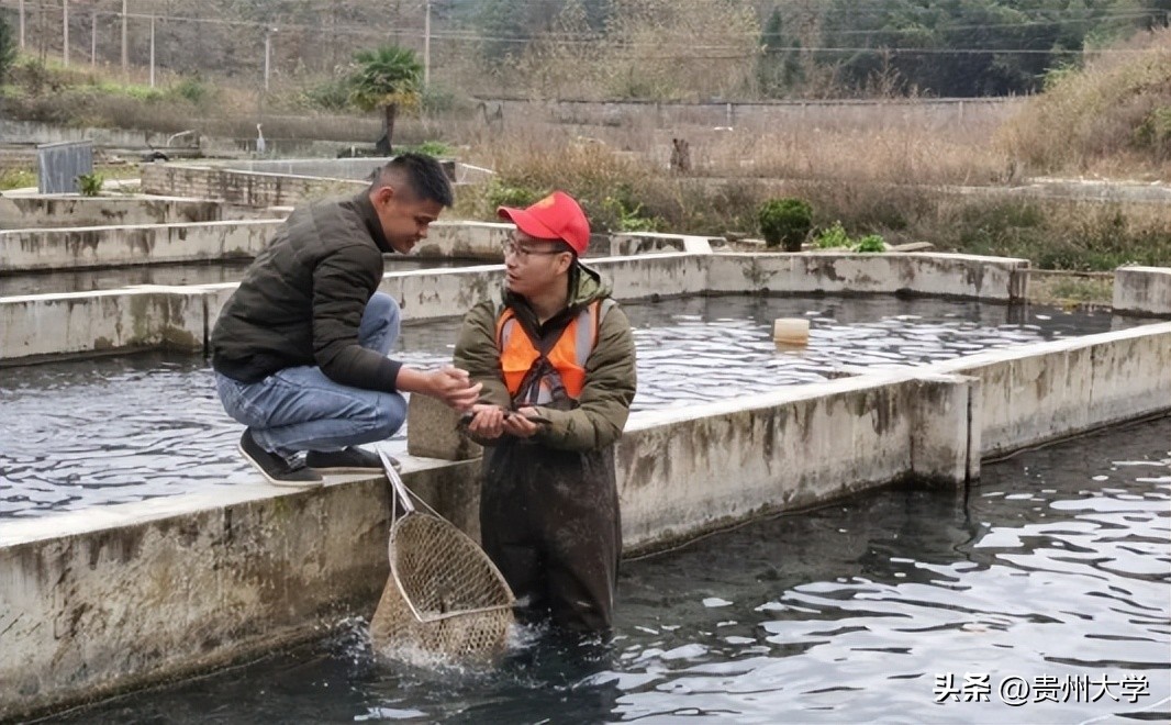 贵大这个学院,学生们的升学故事真精彩!