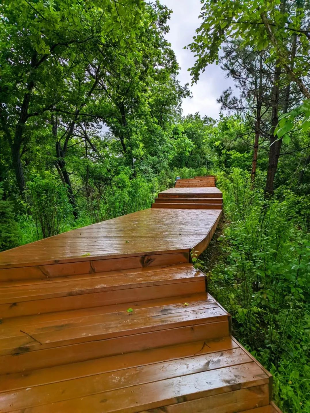 夏幽·嗨玩|全部免费！莲花山徒步宝藏地推荐！
