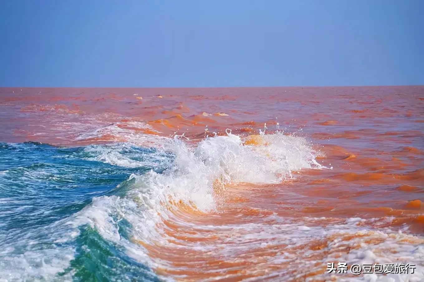 游客：被坑了！青岛的海一点都不蓝。咋回事？小知识建议收藏转发