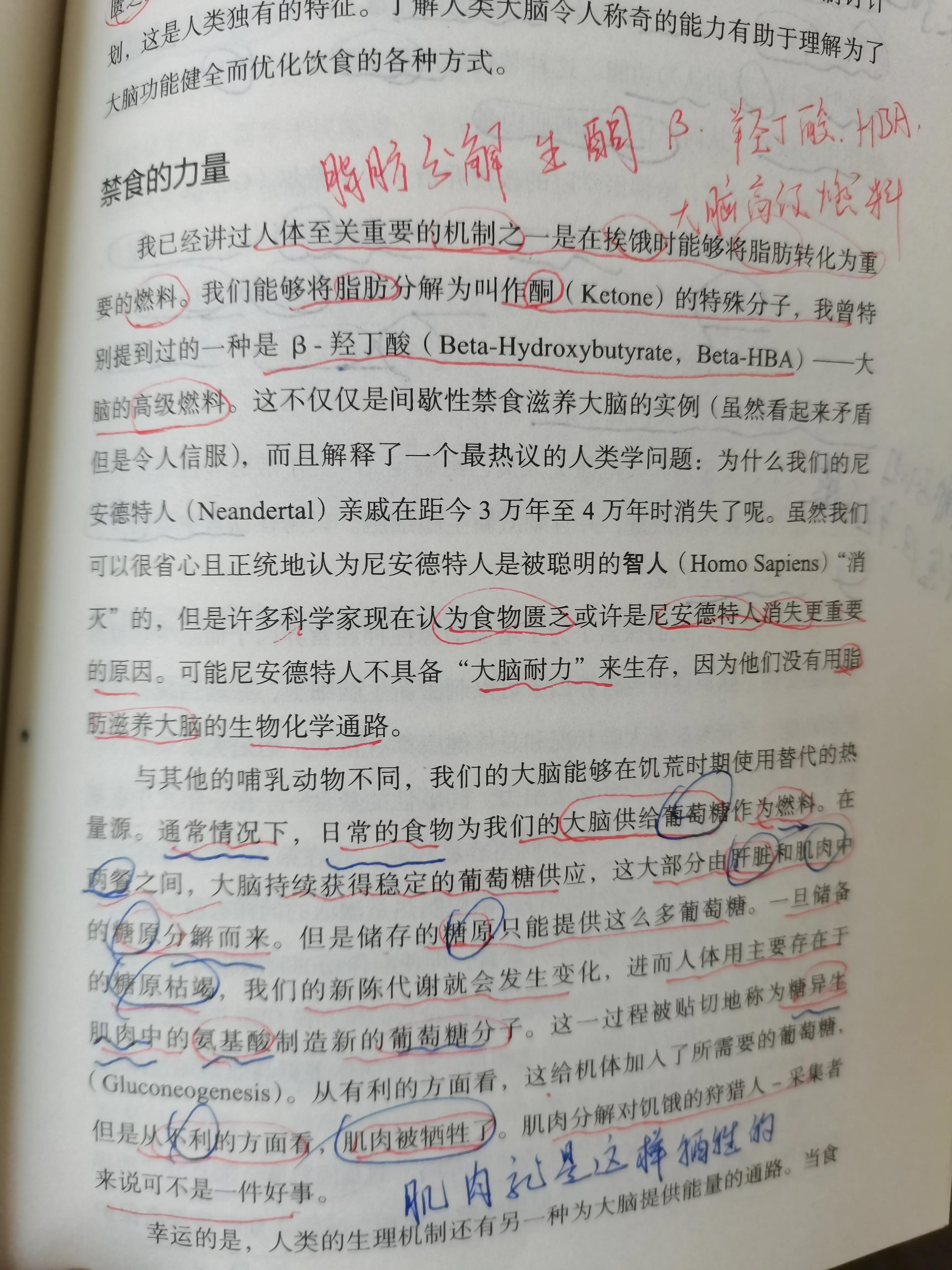 谷物大脑具备权威性吗,谷物大脑有人看过吗