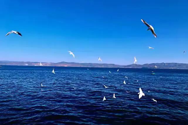 春节旅游最佳去处云南旅游攻略,春节云南旅游必去的景点推荐