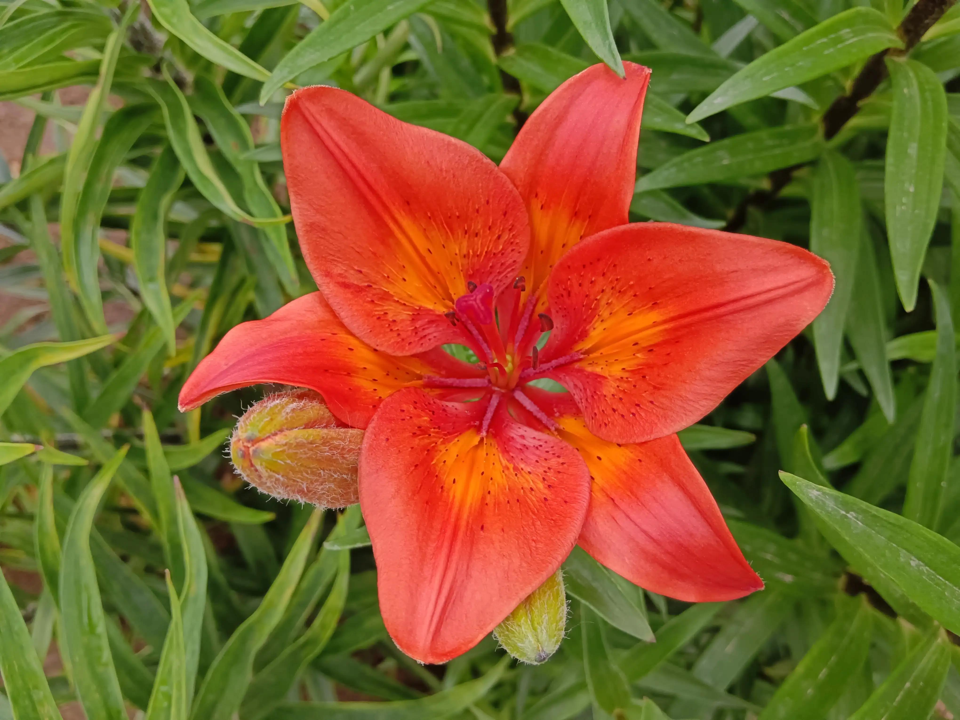 山字飞花令500句,山字飞花令大全