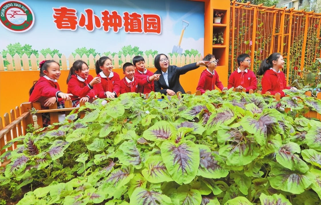 云南日报电子版特别报道,人民日报云南两会特刊