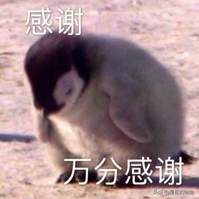 游戏交易不走平台怎么才能最安全,如何检验一个游戏交易平台真实