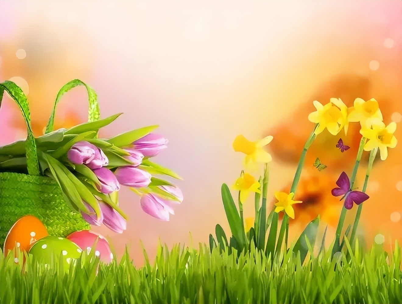 五年级第八单元好书推荐500字作文,五年级上册语文8单元习作范文