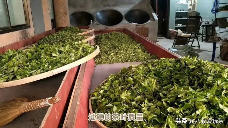 老班章为啥便宜,勐乐山49号老班章真的贵吗