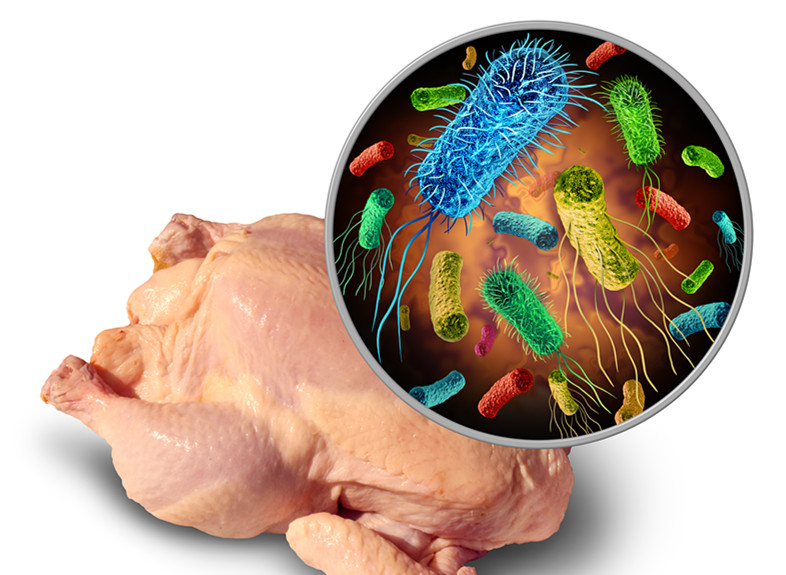 冰箱不清洗可以消毒吗,冰箱不清理可以一直使用吗