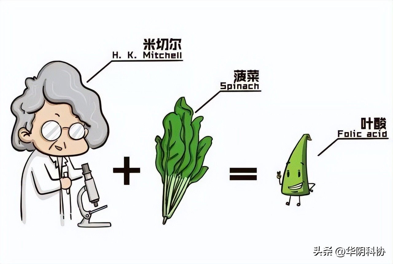 脊柱裂怀孕需要加倍吃叶酸吗,叶酸吃多了会脊柱裂吗