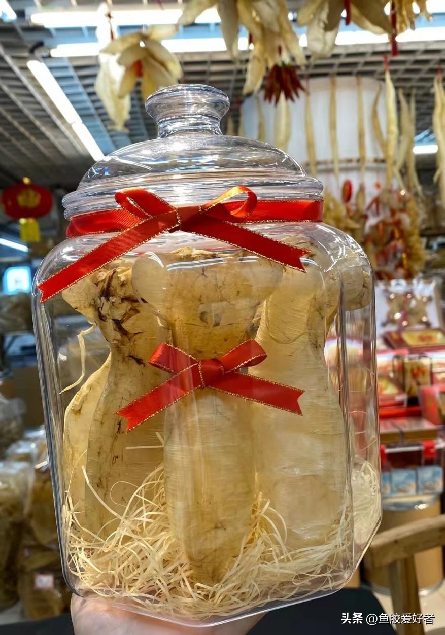 蜘蛛鱼胶哪种最好,越南蜘蛛胶是什么鱼胶