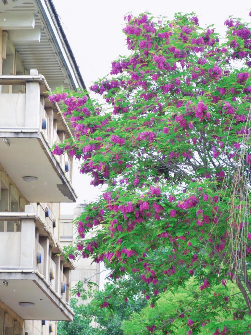 国内最chill的城市，我想投它一票