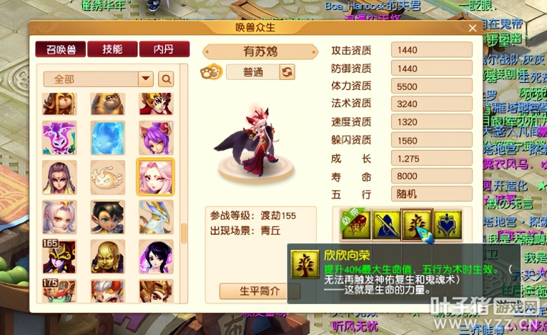 梦幻西游新攻宠打什么内丹,梦幻西游平民攻宠怎么选择