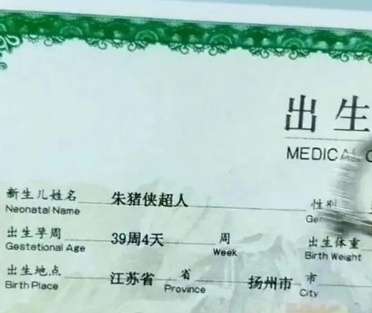 全员“梓涵”热潮已经褪去，新一批古怪名字来袭，家长到底咋想的