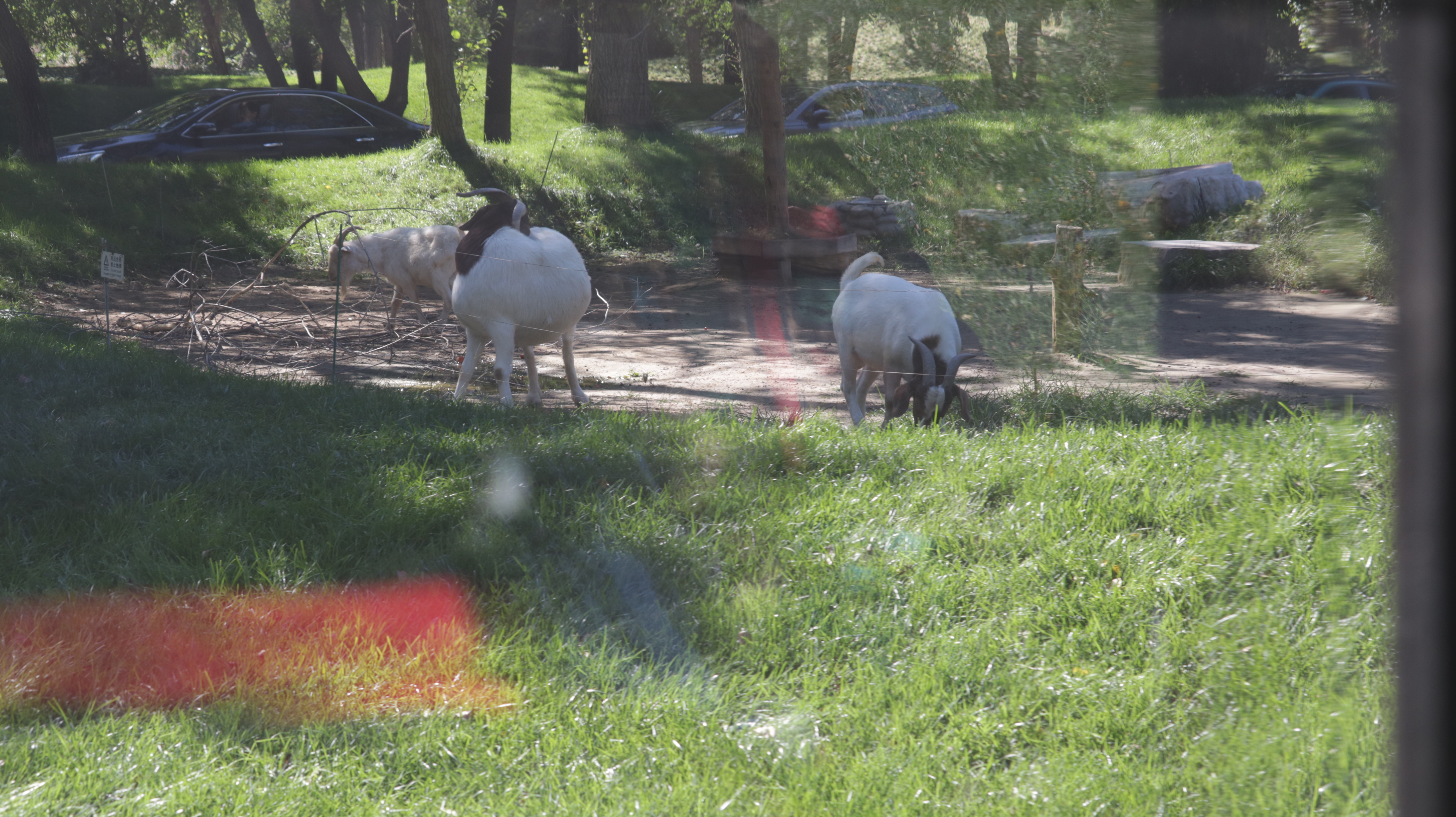 光发心语（F1-F85）：大师之道咏诵「2022年10月5日」#Friendship