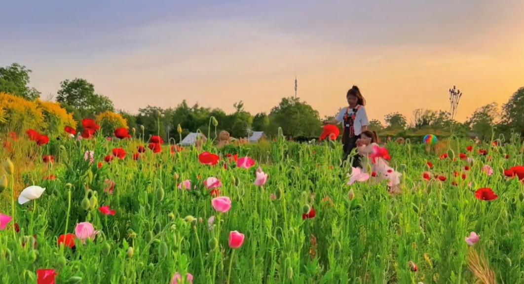 郑州周边网红打卡游玩攻略,适合孩子玩的郑州网红景点打卡地