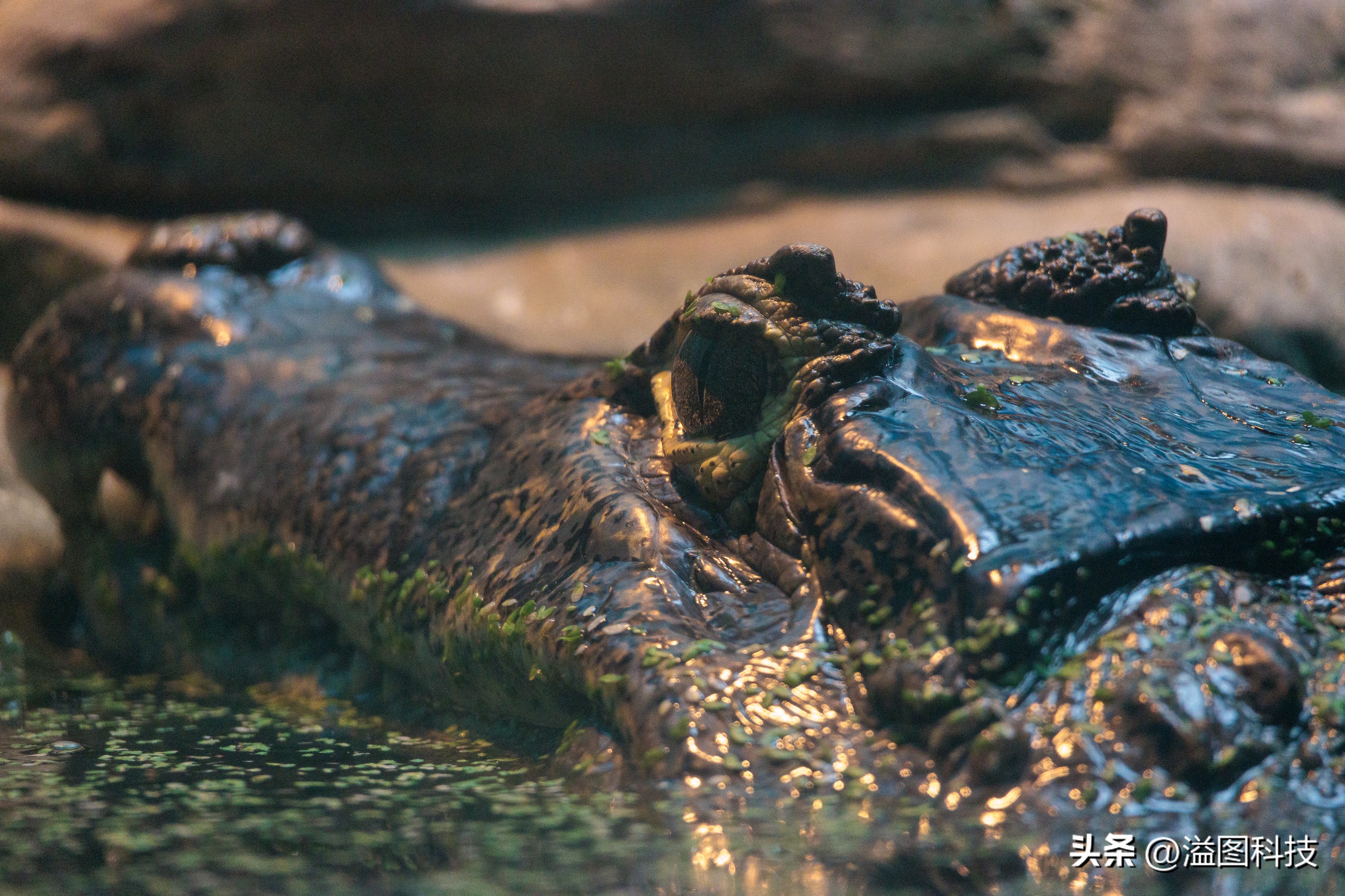 佳能rf-s55-210mm,和儿子感受大自然的气息和美景