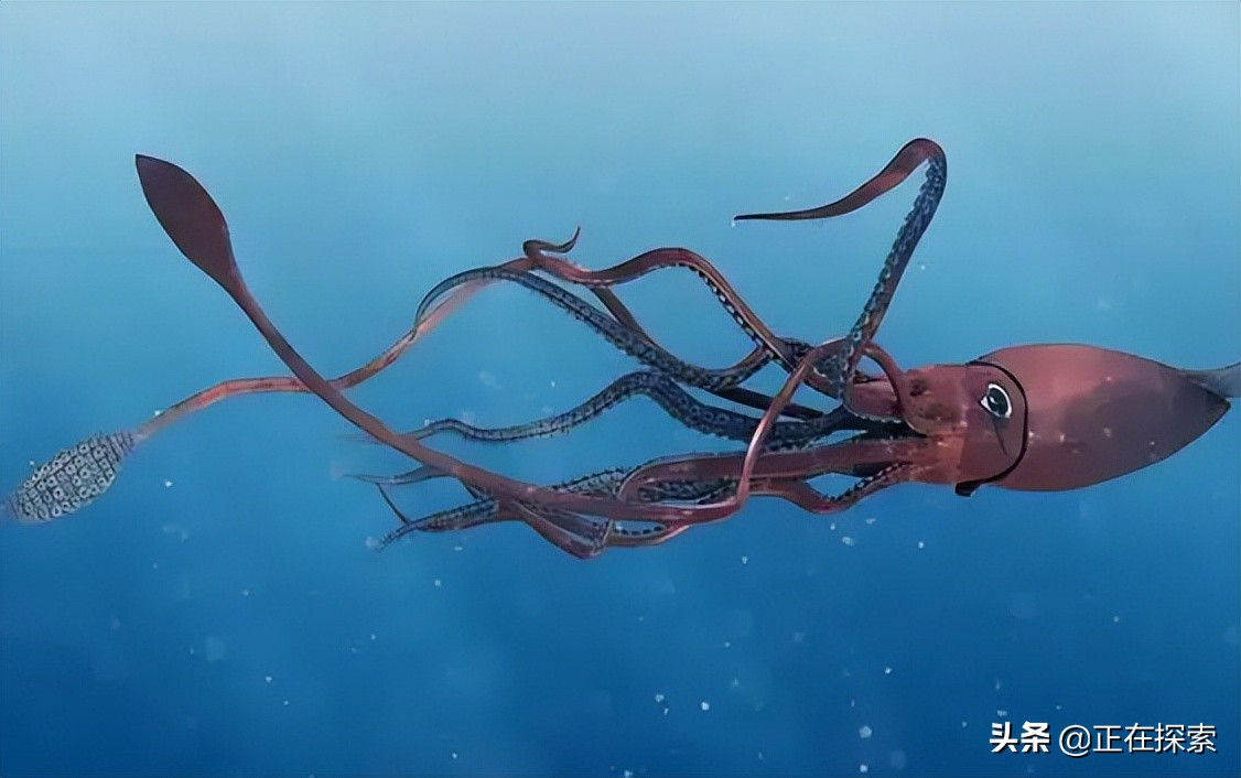 海底的深海巨兽究竟有多可怕,真实存在过的深海巨兽