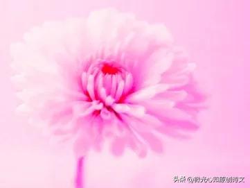 弹出屏幕的蛇头，不仅仅是叶公好龙