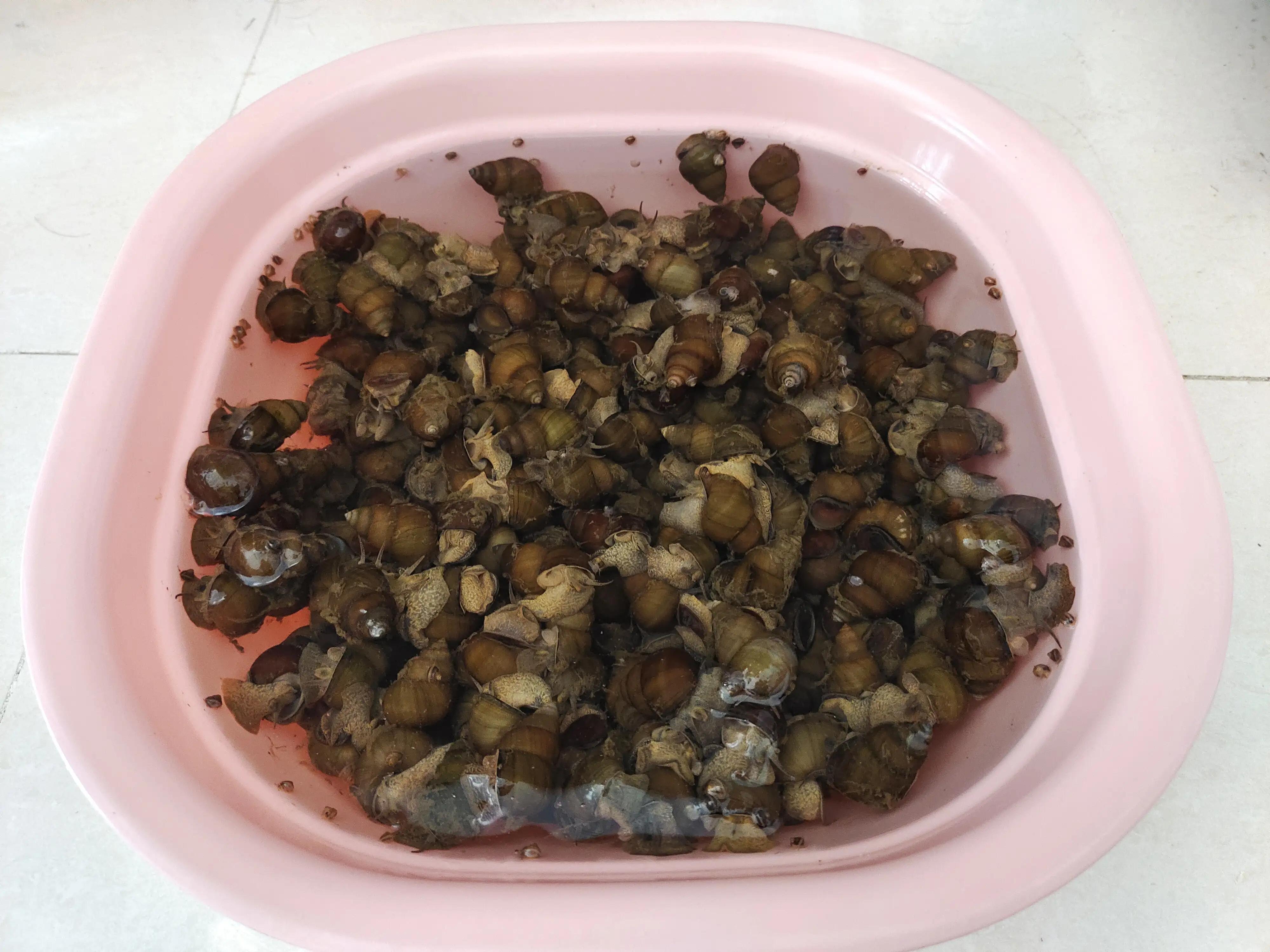 湖中屹立一块巨石,一块石头投入海底水压会压碎么