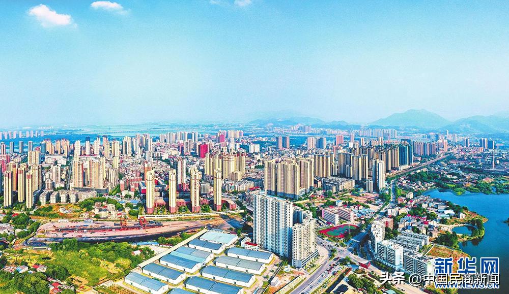 聚焦推动高质量发展方面意见建议,聚焦绿色低碳助推高质量发展