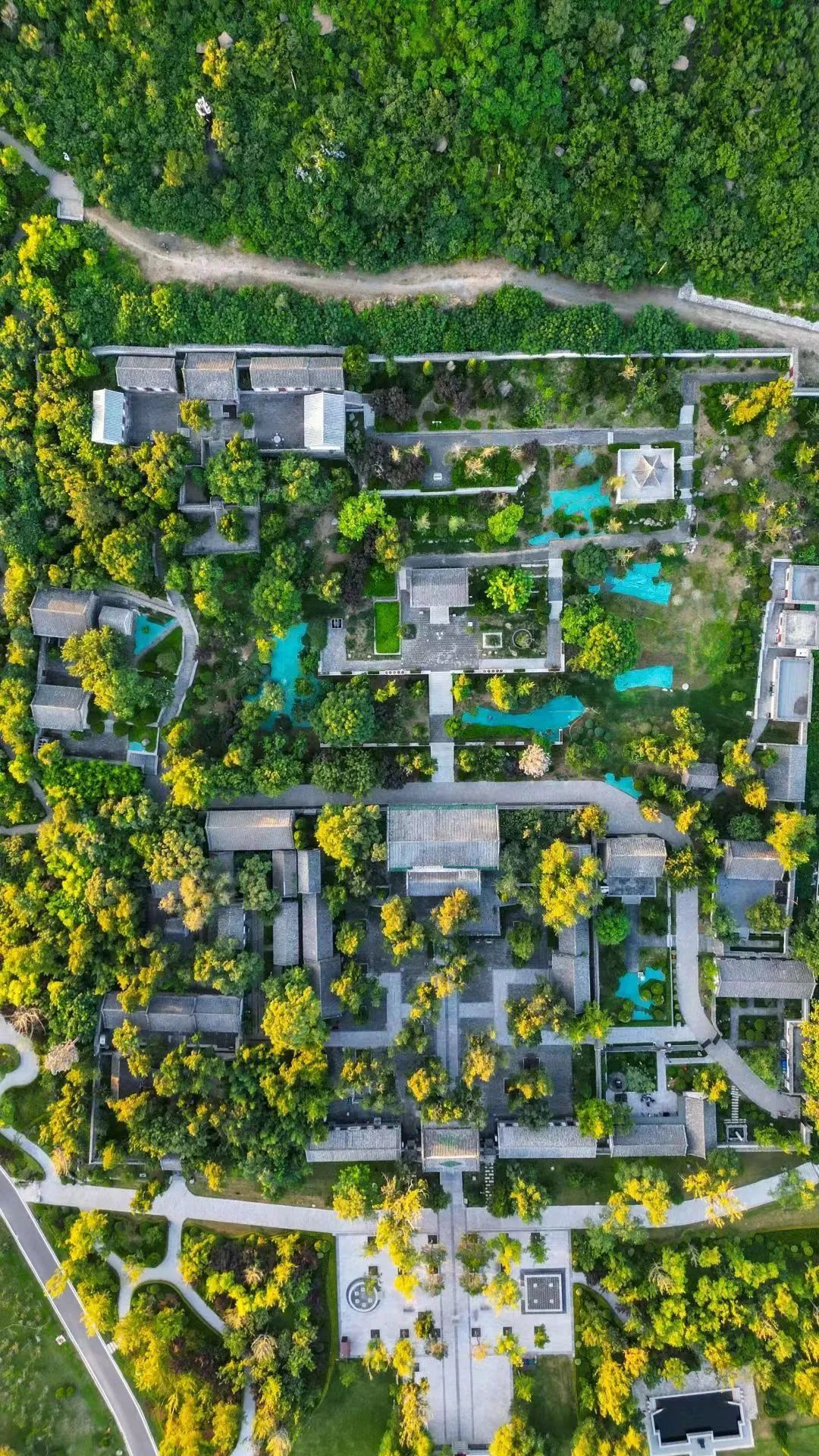 谁不说俺家乡好山东农民,谁不说俺家乡好山东大合唱视频