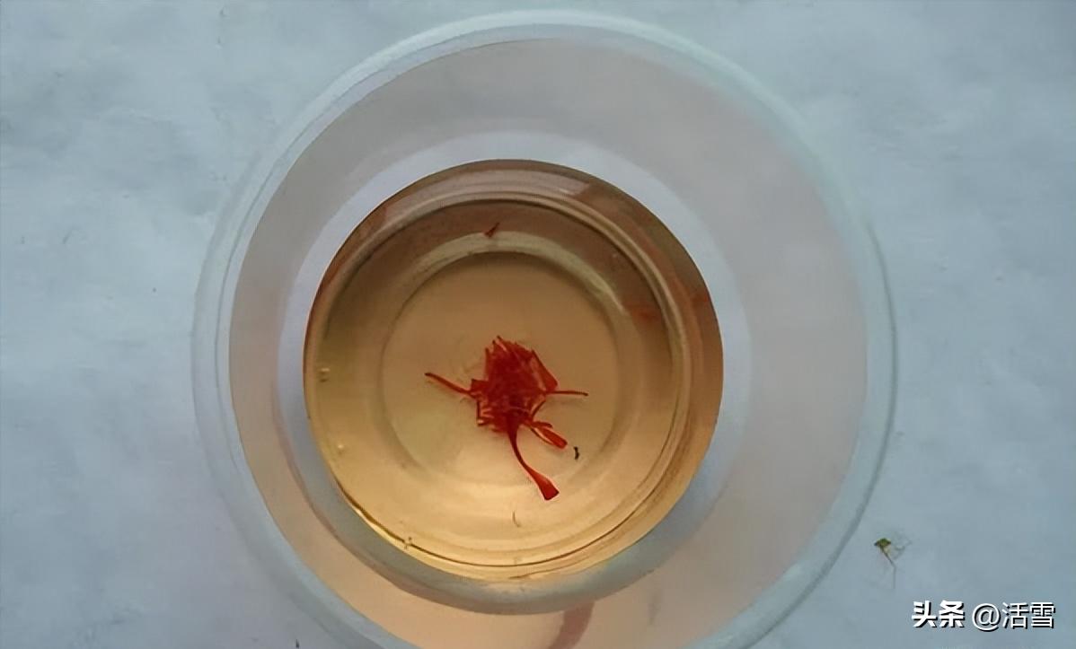 鉴别藏红花真假的最好方法,藏红花作假好鉴别吗