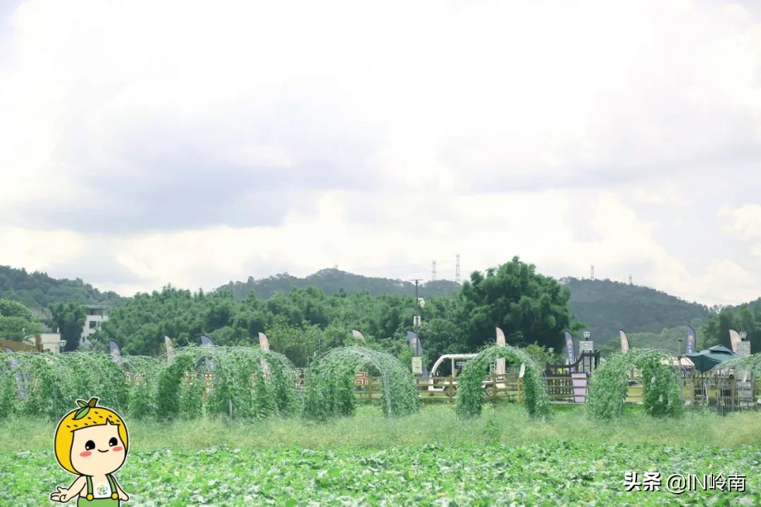音乐潮玩市集白云公园站,潮玩街区音乐集市仁寿