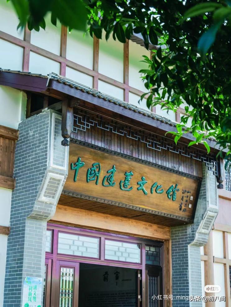 世界最大的梯田,世界梯田之最