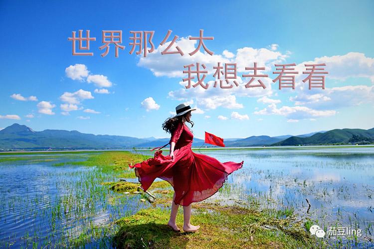 怎么推广旅游卡,旅游卡应该在哪些平台推广