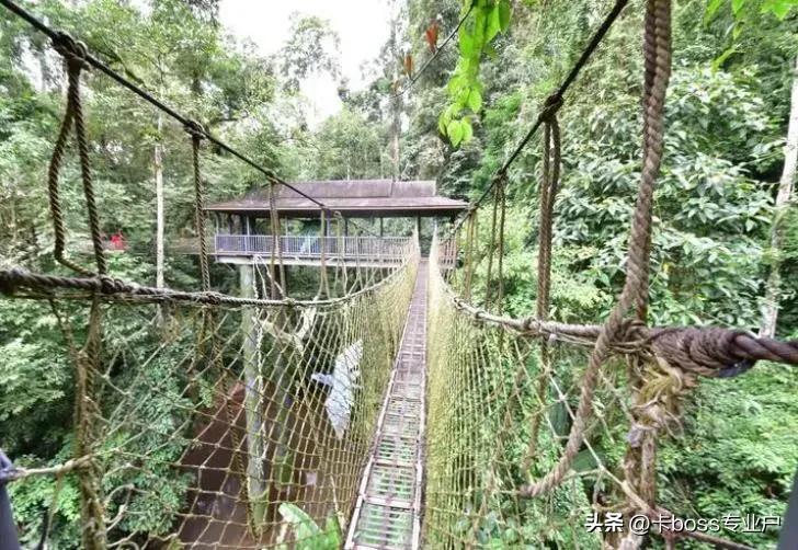 云南西双版纳旅游景点图片大全,西双版纳旅游攻略必去景点地图