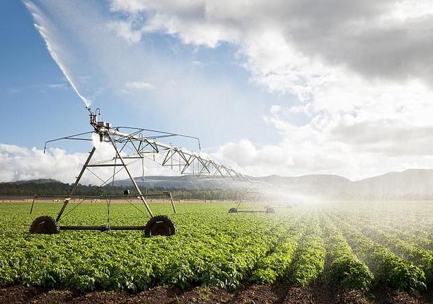 农业技术发展现状中的不足,现代农业技术发展现状和前沿