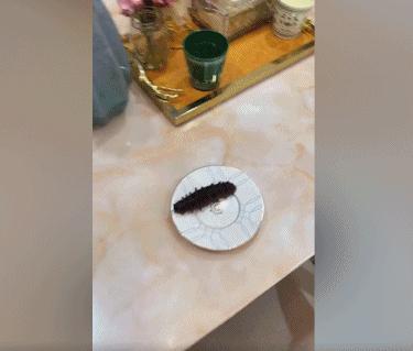 赵明剑讽刺女足,赵明剑谈大连球迷视频